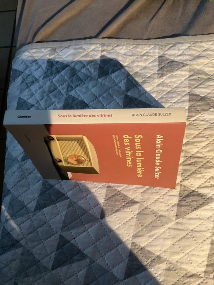 # sous la lumière des vitrines Alain Claude Sulzer - photo numéro 4