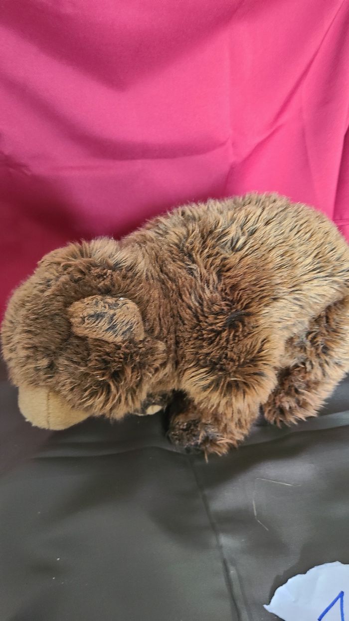 Ours en peluche brun Grizzly de Wild Republic - photo numéro 7