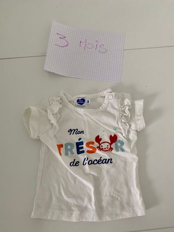 2 t-shirt manches courtes