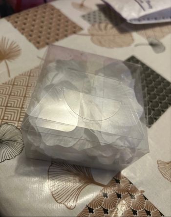 Pétale de rose blanche 