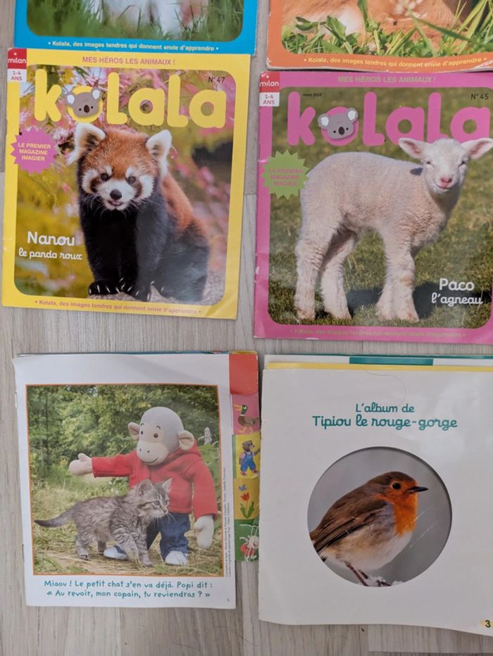Lot de 12 magazines koala 1-4 ans et albums - photo numéro 4