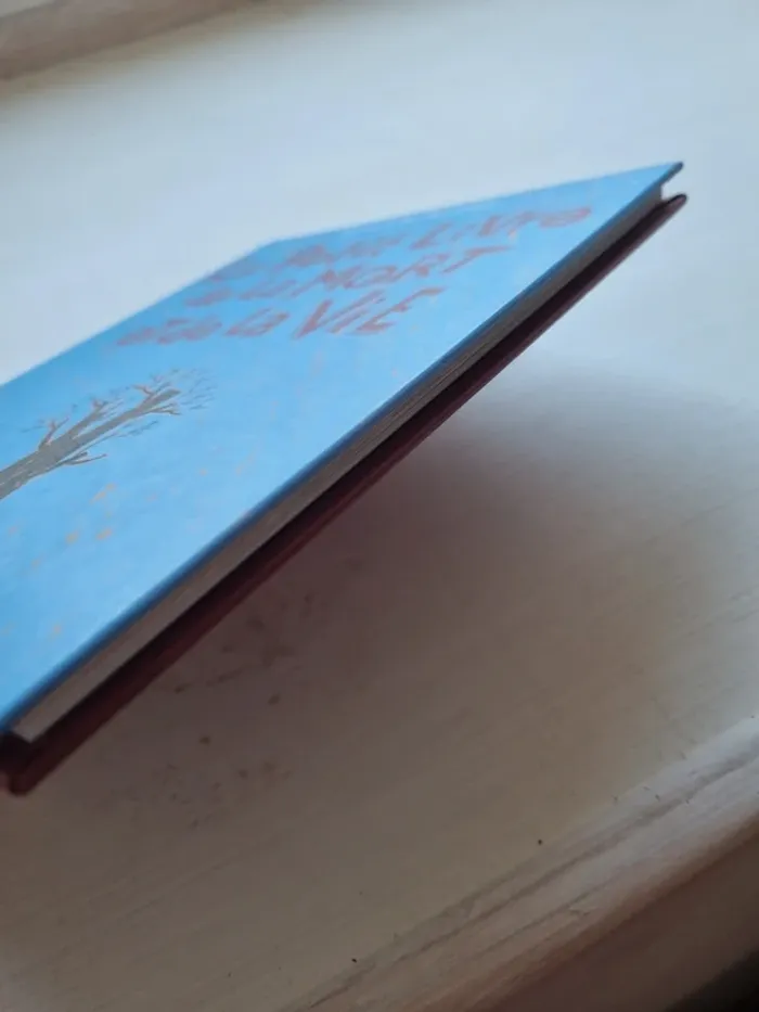Le petit livre de la mort et de la vie de Delphine Sauliere - photo numéro 5