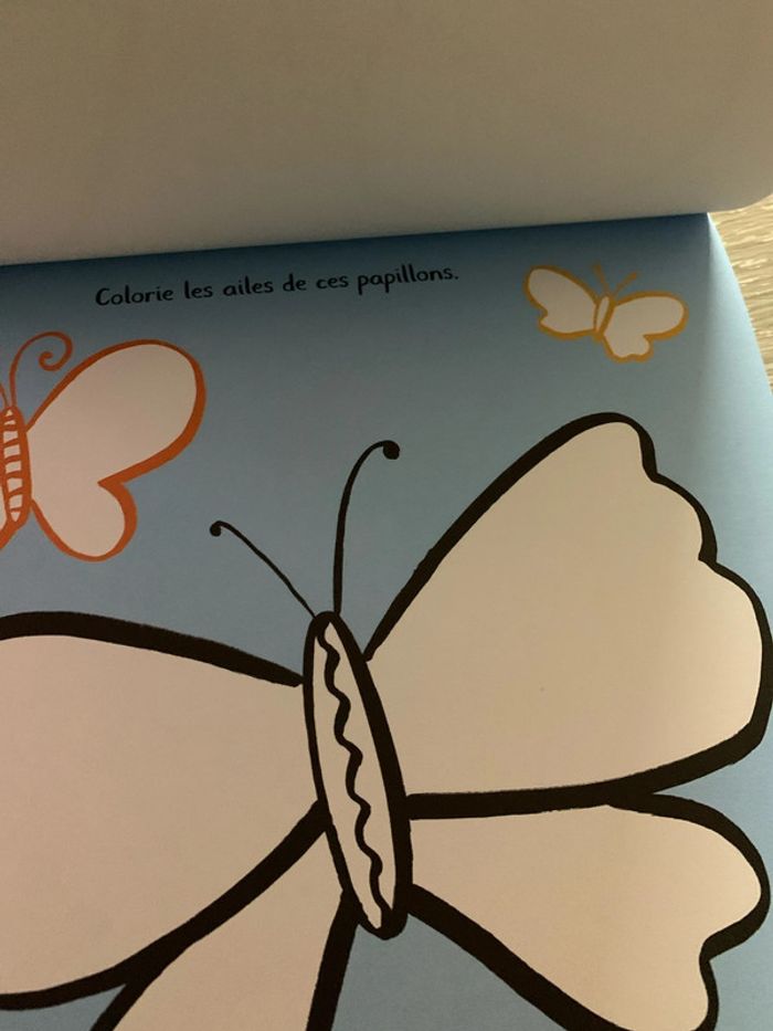 Livre mon petit atelier : les animaux - photo numéro 2