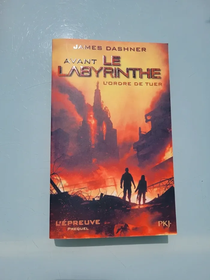 4 Premier romans grands formats de la saga Le Labyrinthe : Livres 1, 2, 3 et 4 - photo numéro 15