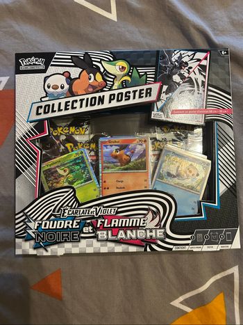 Coffret poster Pokémon ev10.5