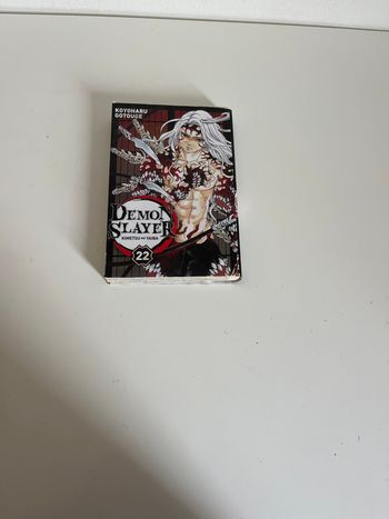 Manga demon slayer n 22 