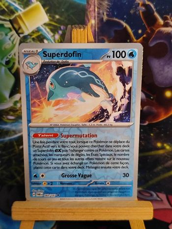 Superdofin reverse 60/167 Mascarade Crépusculaire