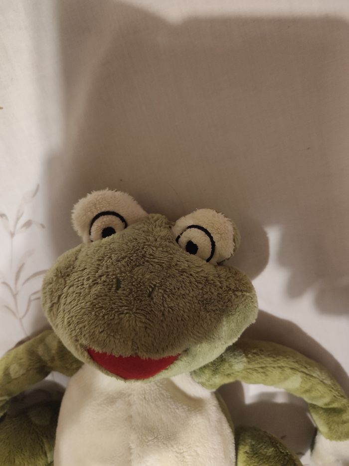 Grenouille - photo numéro 2