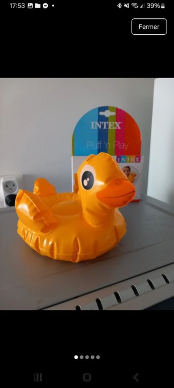 Mini Bouée canard