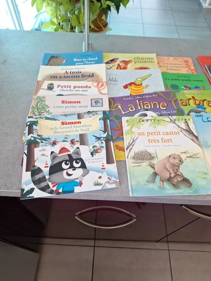 Lots de livres 📚 - photo numéro 2
