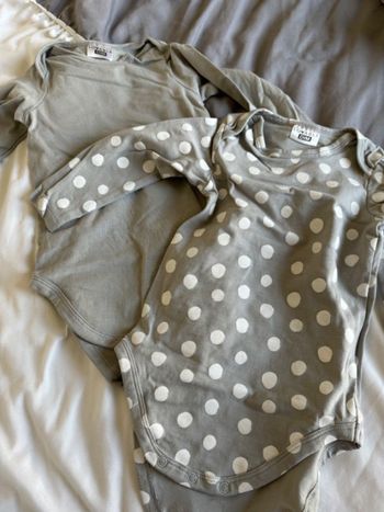 Lot 5 body