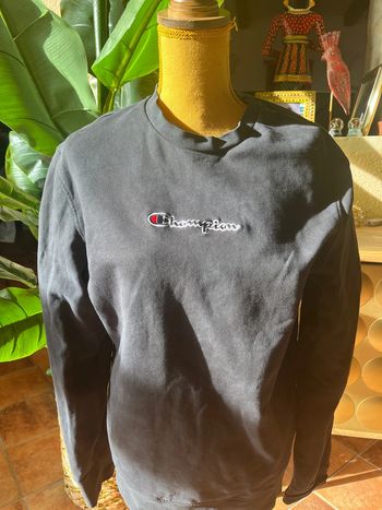 sweat champion L