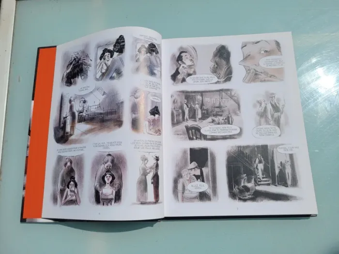 Très belle BD : Mauvais Genre, Chloé Cruchodet - photo numéro 3