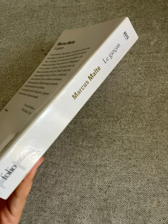 Le Garçon – Marcus Malte – Édition Folio – Roman historique / initiatique - photo numéro 4