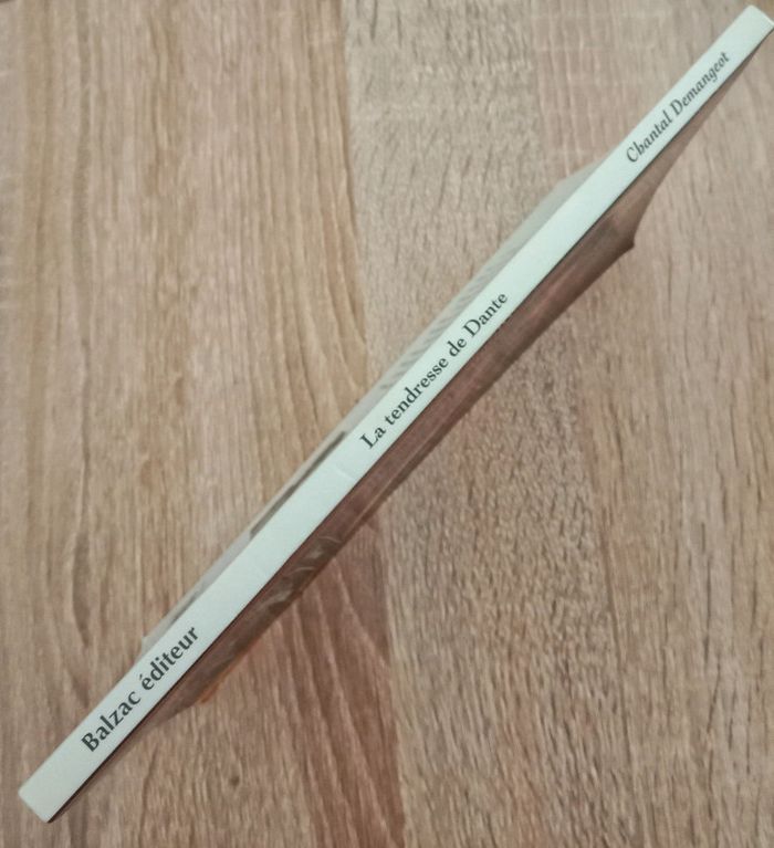 Chantal Demangeot 🪅 La tendresse de Dante - photo numéro 3