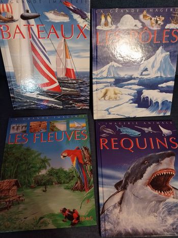 Lot de 4 livres la grande imagerie