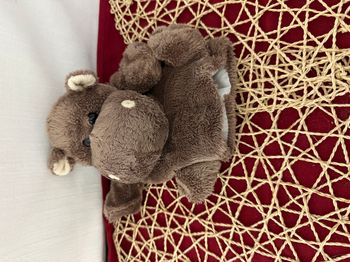 Doudou plat marionnette hippopotame HISTOIRE D'OURS