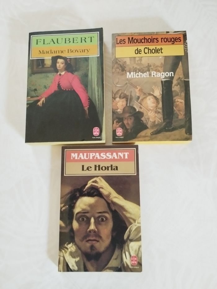 Mme Bovary/ le Horla/les mouchoirs rouges de Cholet - photo numéro 3