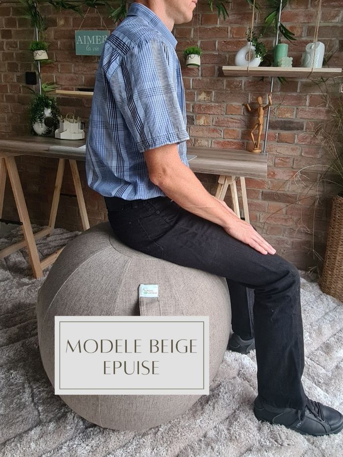 Ballon chaise de bureau ergonomique NEUF 4
modèles - photo numéro 9