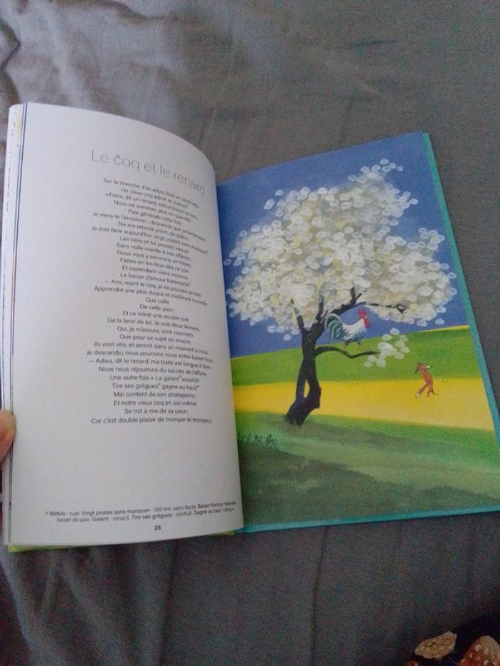 Fables illustrées - photo numéro 2