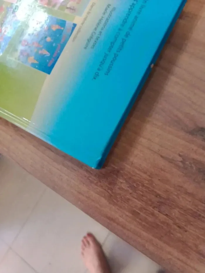 Lot de 2 livres pour enfants - photo numéro 5