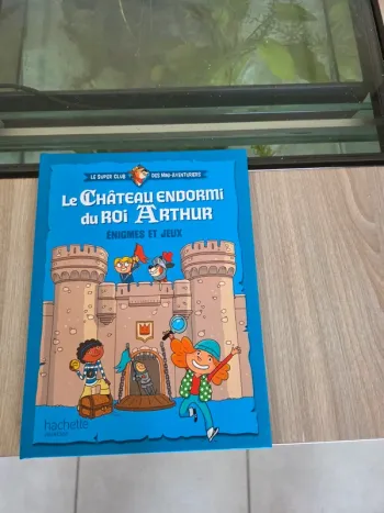 Livre le château endormi du roi arthur
