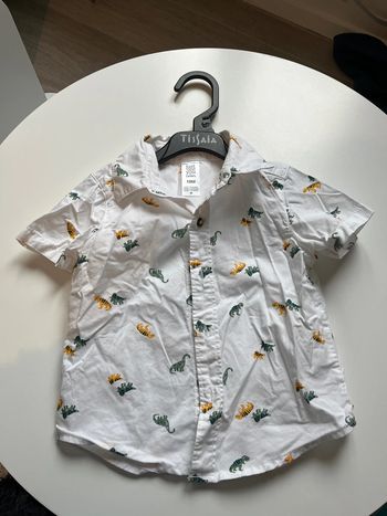 T shirt dinosaure