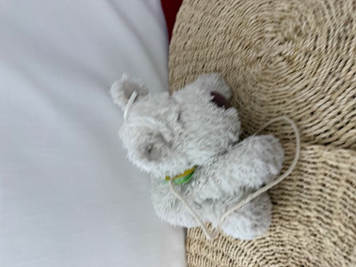 Teddykompaniet Chien Teddy Crème Beige - photo numéro 3