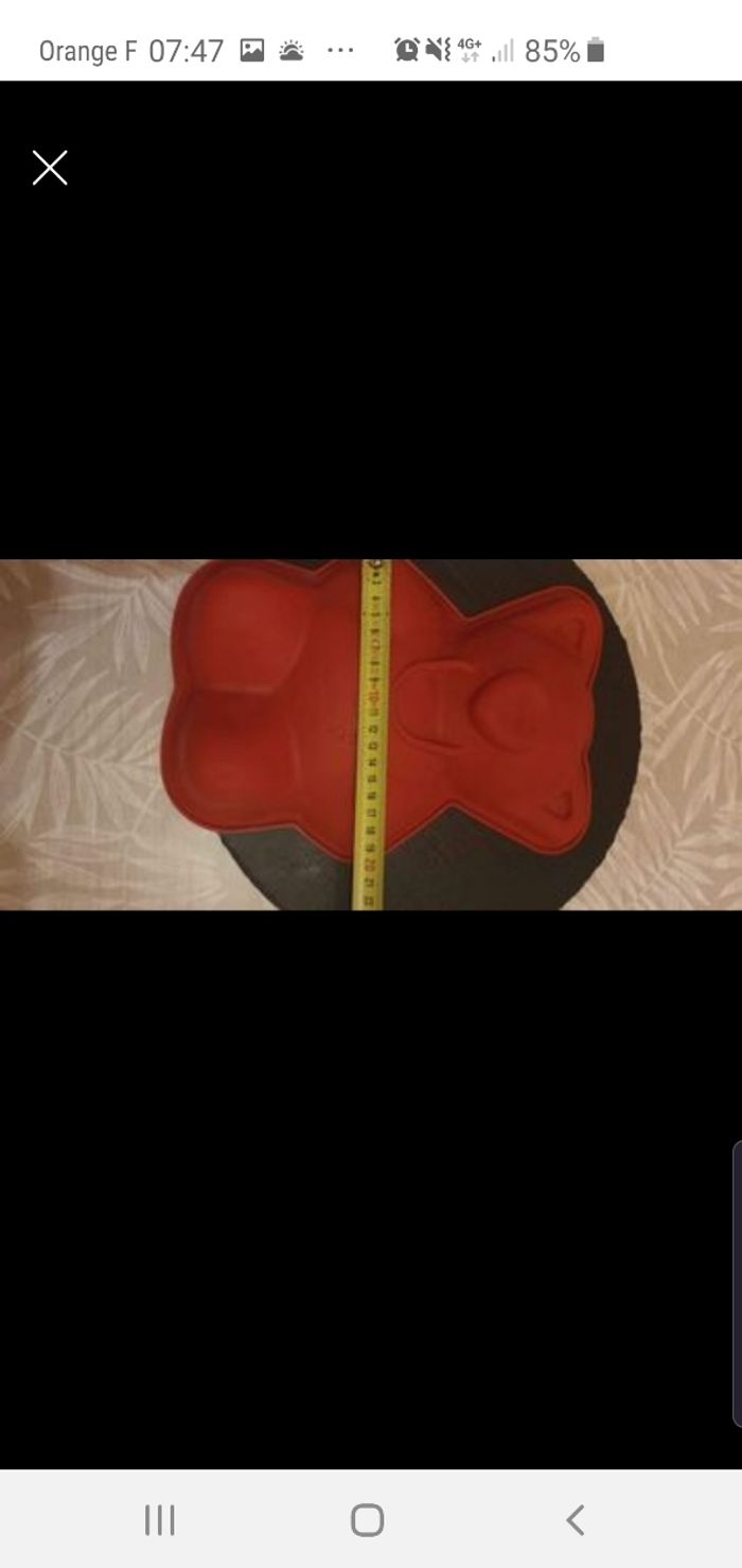 Moule ours - photo numéro 3