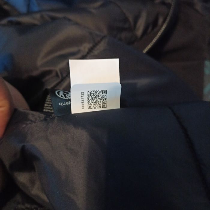 Veste a capuche/blouson the North face - photo numéro 7