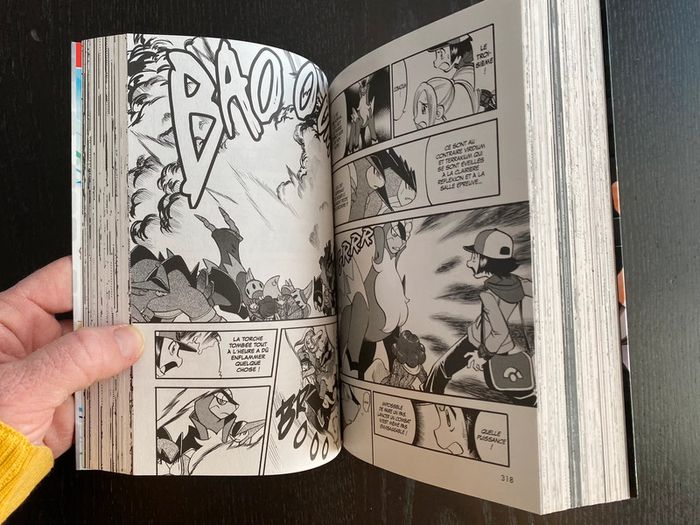Pokémon noir et blanc 3 - photo numéro 4