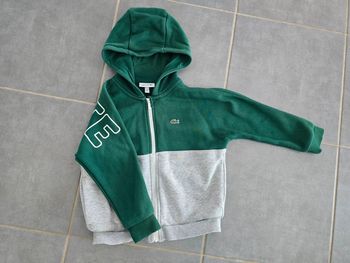Veste lacoste