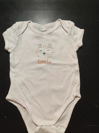 Bodie manches courtes