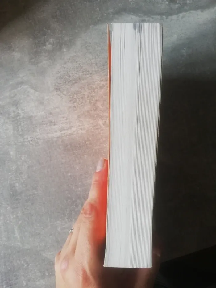 Dictionnaire portugais - photo numéro 4