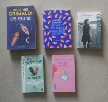 5 romans Virginie Grimaldi Baptiste Beaulieu Charlotte Leman Sinéad Moriarty Agnès Martin-Lugand