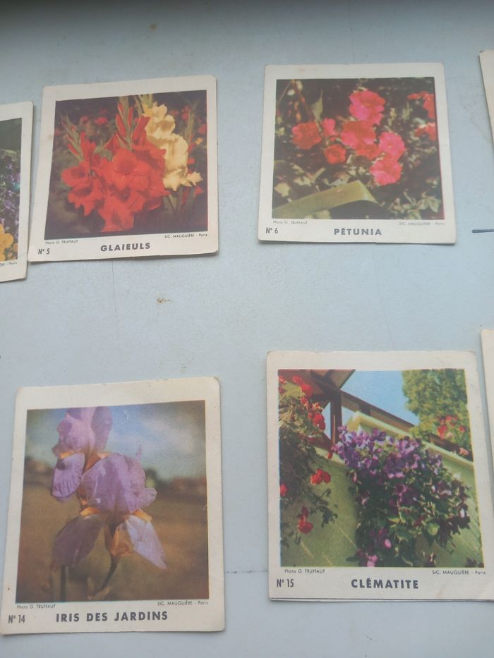 Anciennes images biscottes Reinette - photo numéro 4