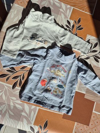 Lot de 2 tee-shirt manches longues