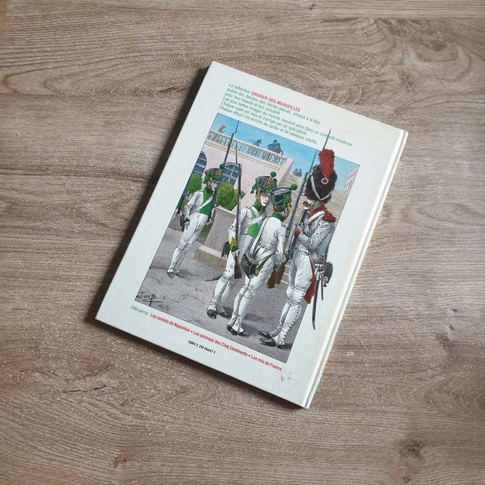 📚 Livre Les soldats de Napoléon #emyfleury_livres - photo numéro 2