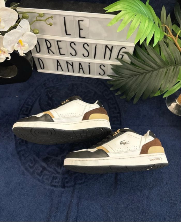 Basket Lacoste taille 37 - photo numéro 2