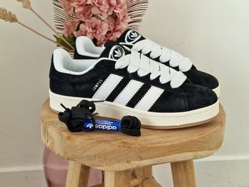 Basket Adidas Campus neuve