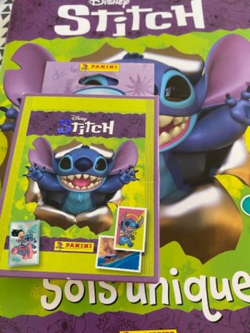 Panini stitch