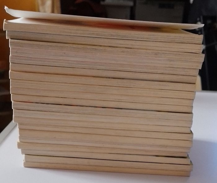 collection 20 volumes la cabane magique - photo numéro 3