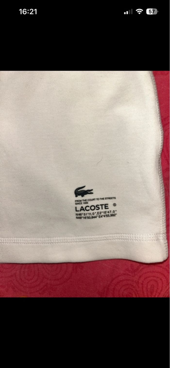 short lacoste - photo numéro 5