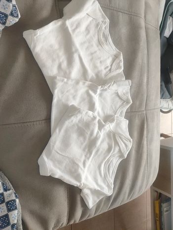 Lot Body manche courte