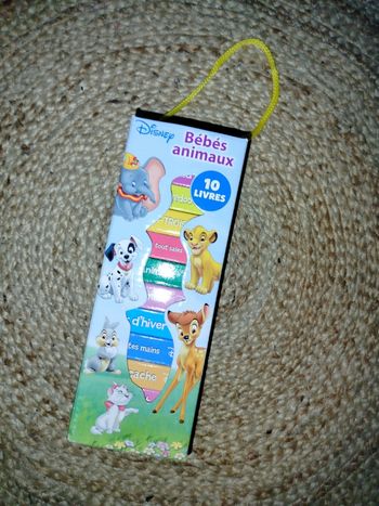 Mini bibliothèque Disney