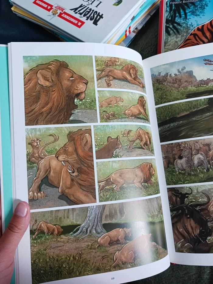 BD sans paroles LOVE le lion, le tigre et le renard - photo numéro 5