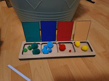 Plateau de tri Montessori