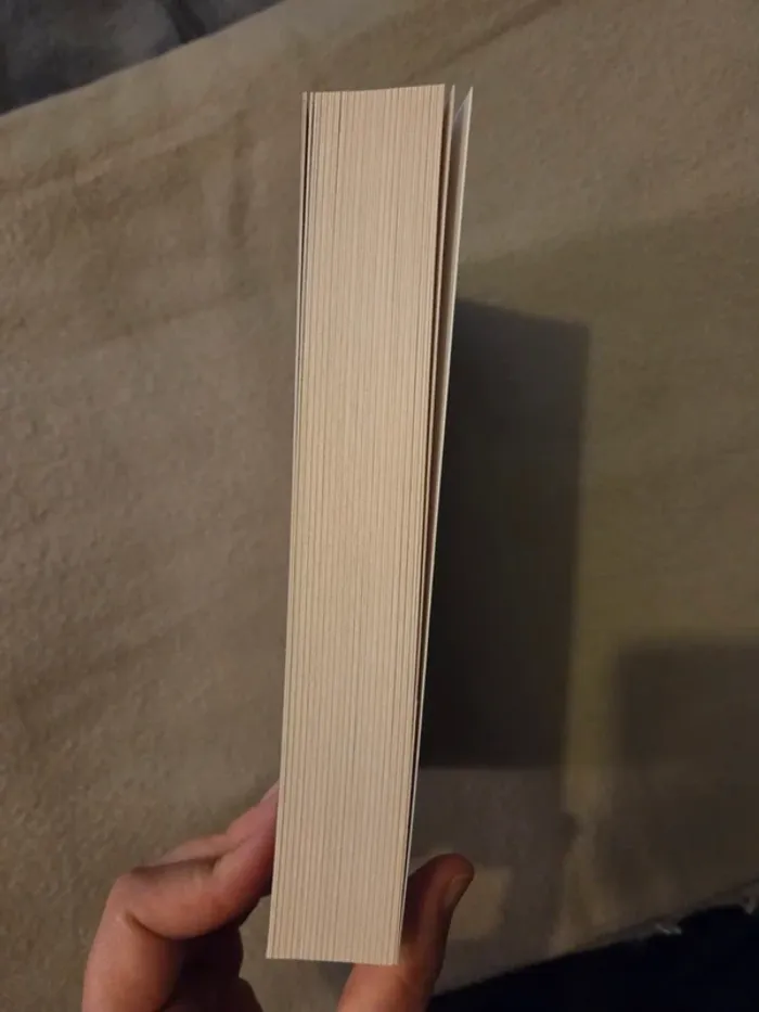 Les Autodafeurs, Tome 1 : Mon frère est un gardien de Marine Carteron - photo numéro 3