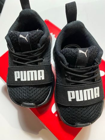 Basket puma