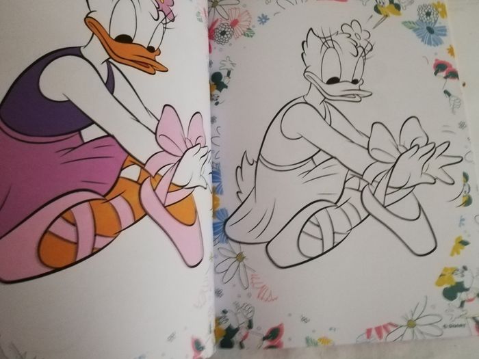 Livre coloriage minnie - photo numéro 2